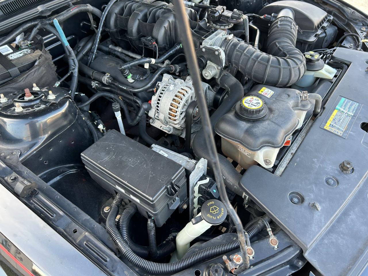 Ford Mustang 2dr Cpe Premium 2008