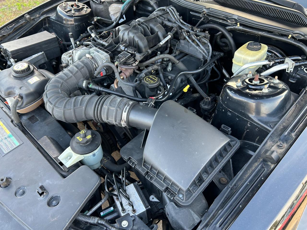 Ford Mustang 2dr Cpe Premium 2008