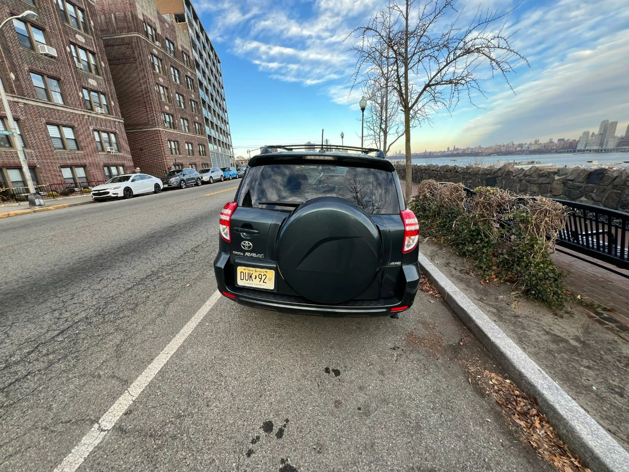 Toyota RAV4 4WD 4dr 4-cyl 4-Spd AT Ltd (Natl) 2009