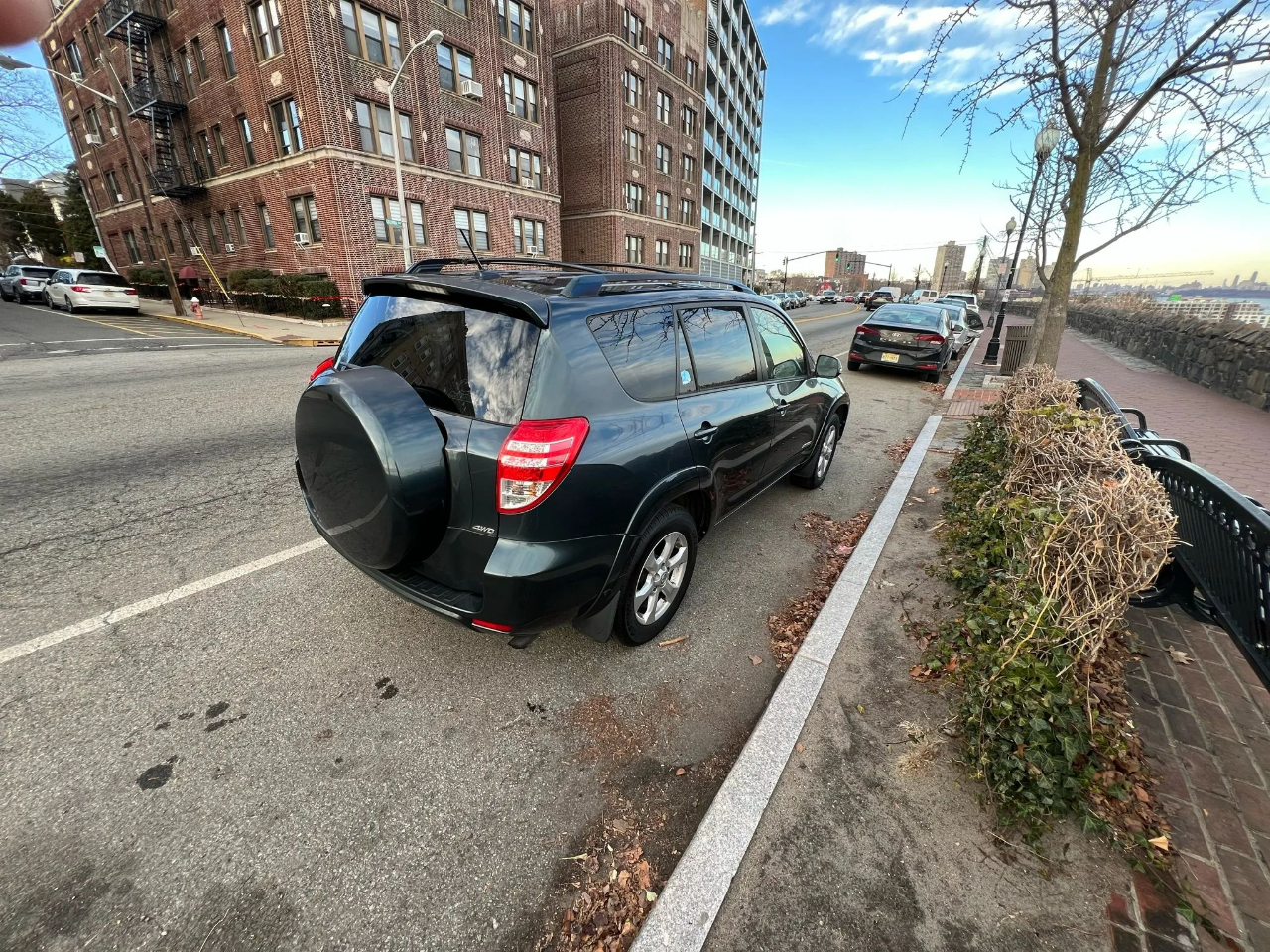 Toyota RAV4 4WD 4dr 4-cyl 4-Spd AT Ltd (Natl) 2009