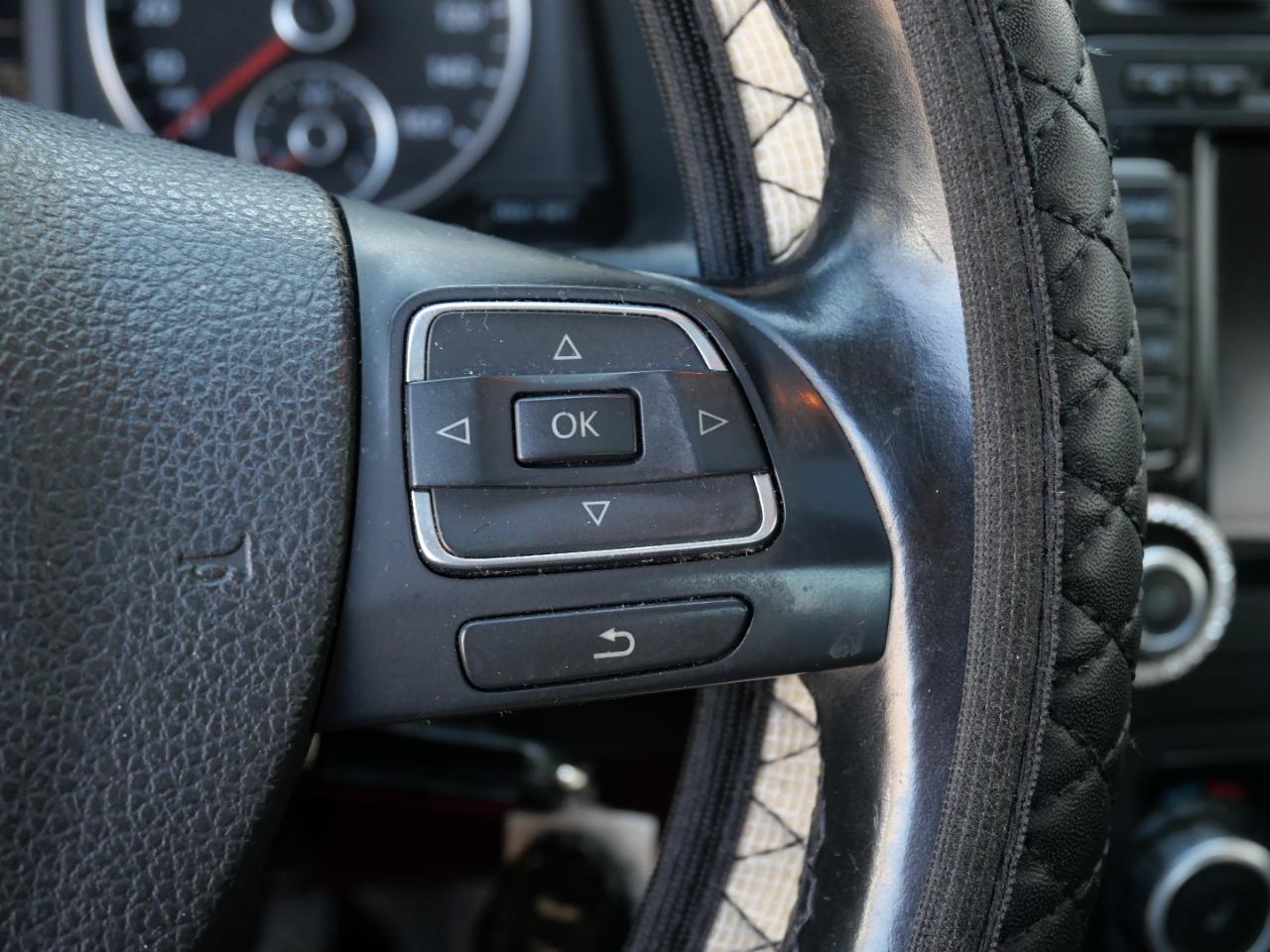 Volkswagen Jetta Sedan 4dr Auto Limited PZEV 2010