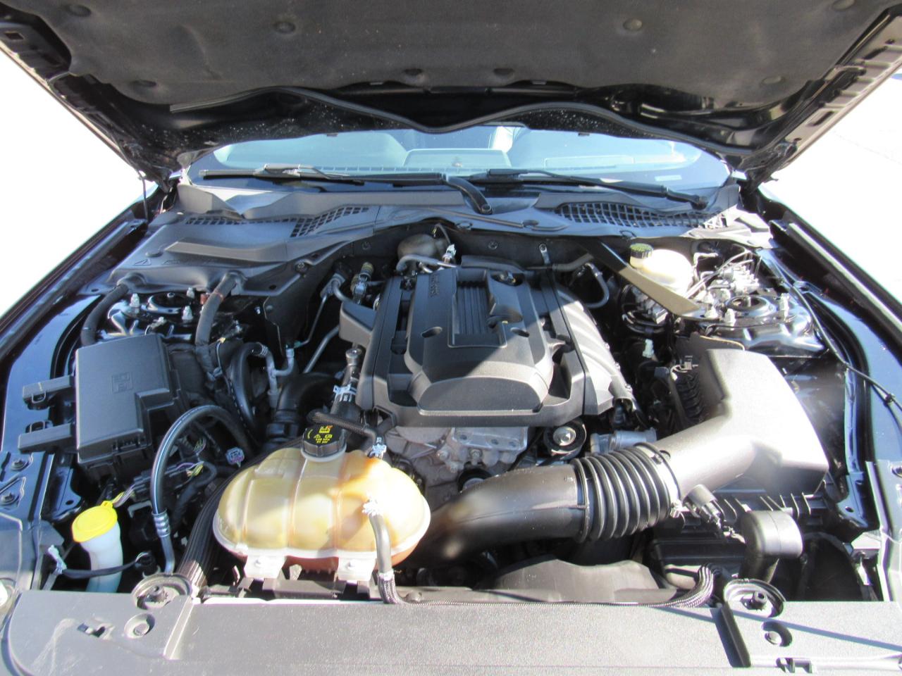 Ford Mustang 2dr Conv EcoBoost Premium 2016