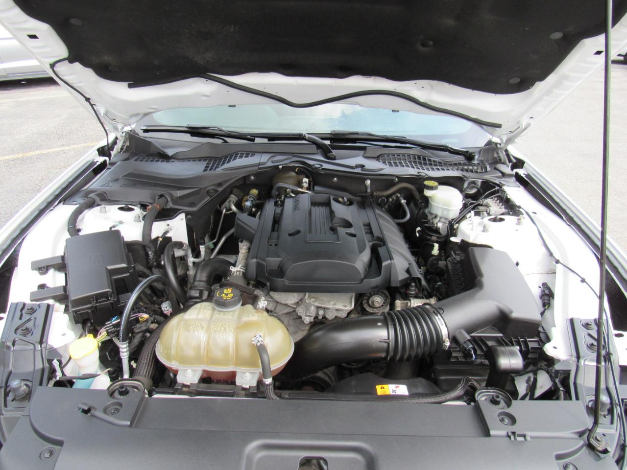 Ford Mustang 2dr Fastback EcoBoost 2016