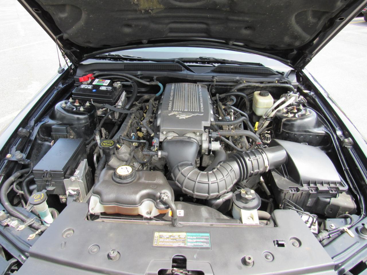 Ford Mustang 2dr Conv GT Deluxe 2008