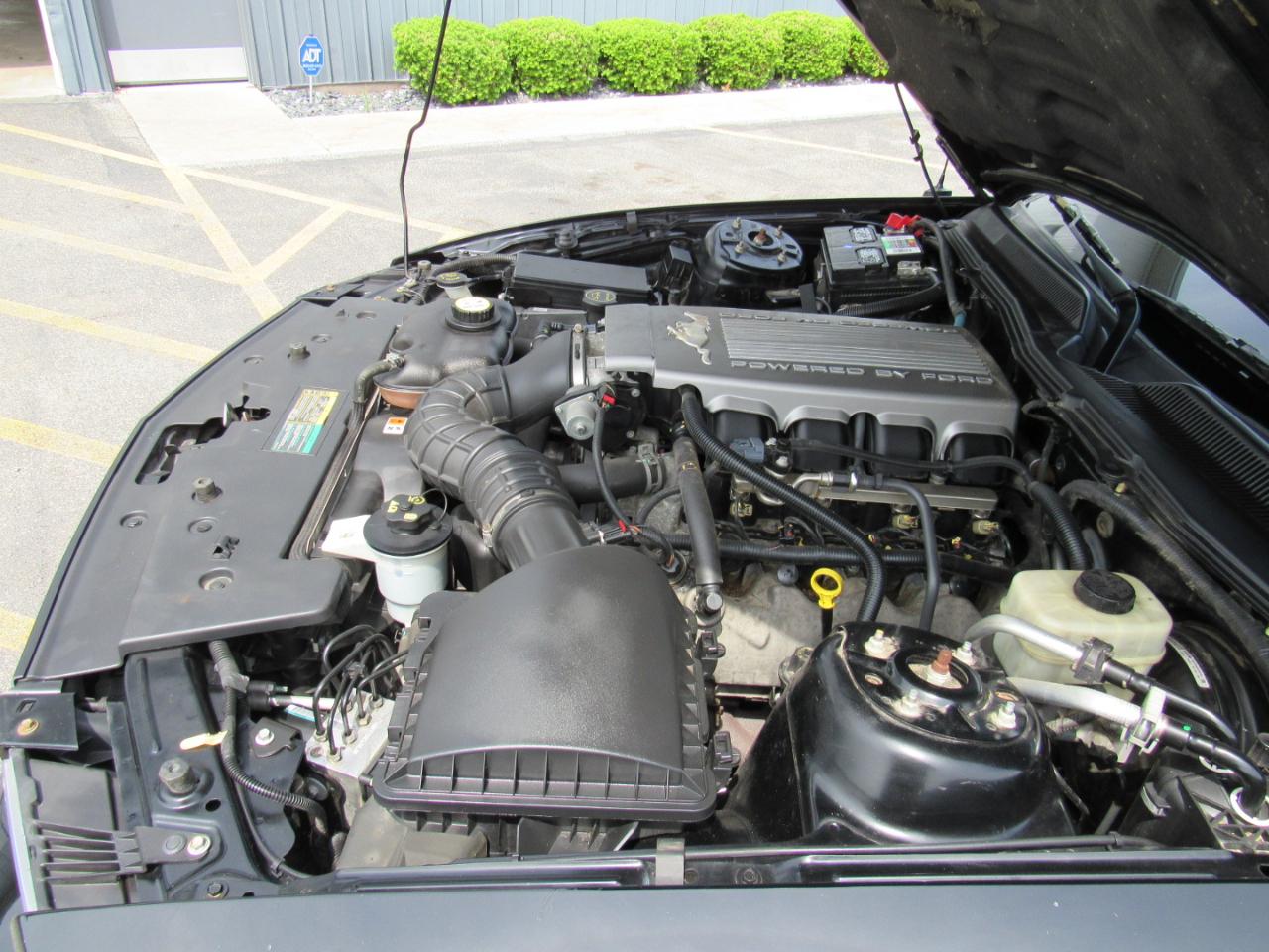 Ford Mustang 2dr Conv GT Deluxe 2008