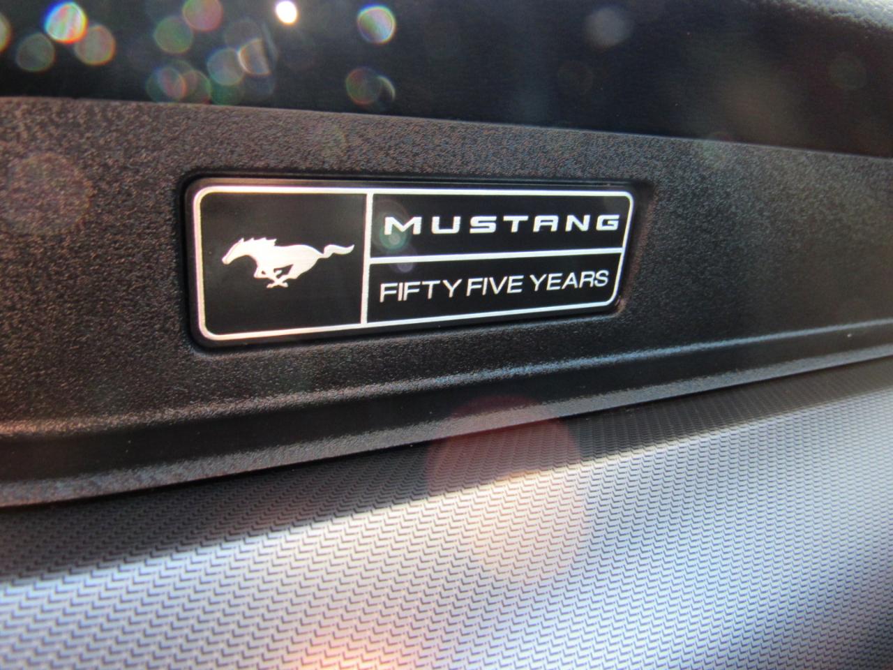 Ford Mustang EcoBoost Fastback 2020