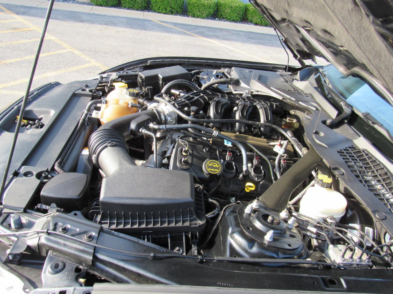 Ford Mustang 2dr Conv V6 2016