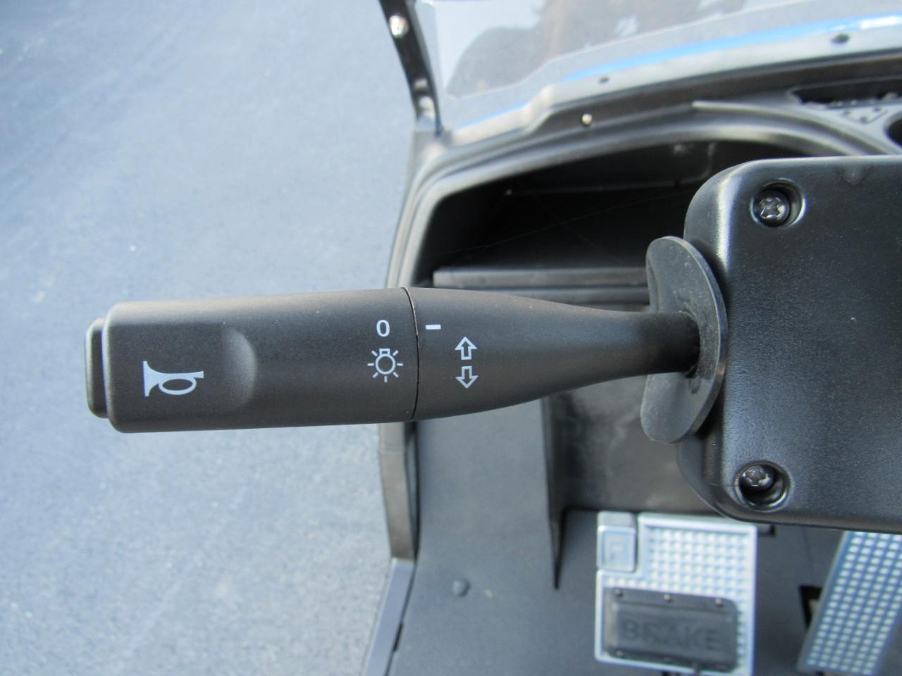 Yamaha Drive 2 EFI Gas Street Legal  2022