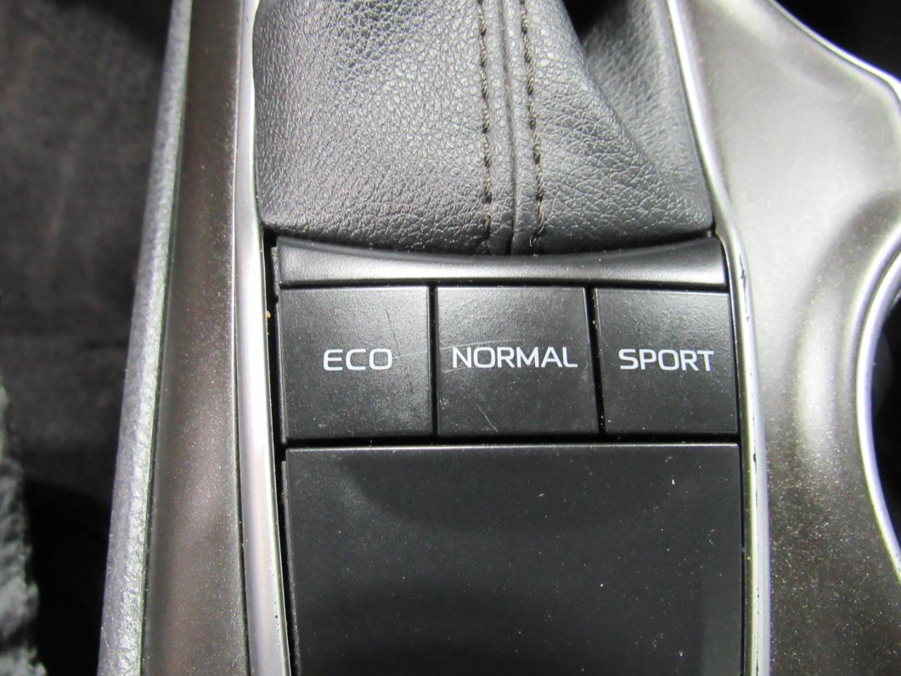 Toyota Camry LE Auto (Natl) 2023