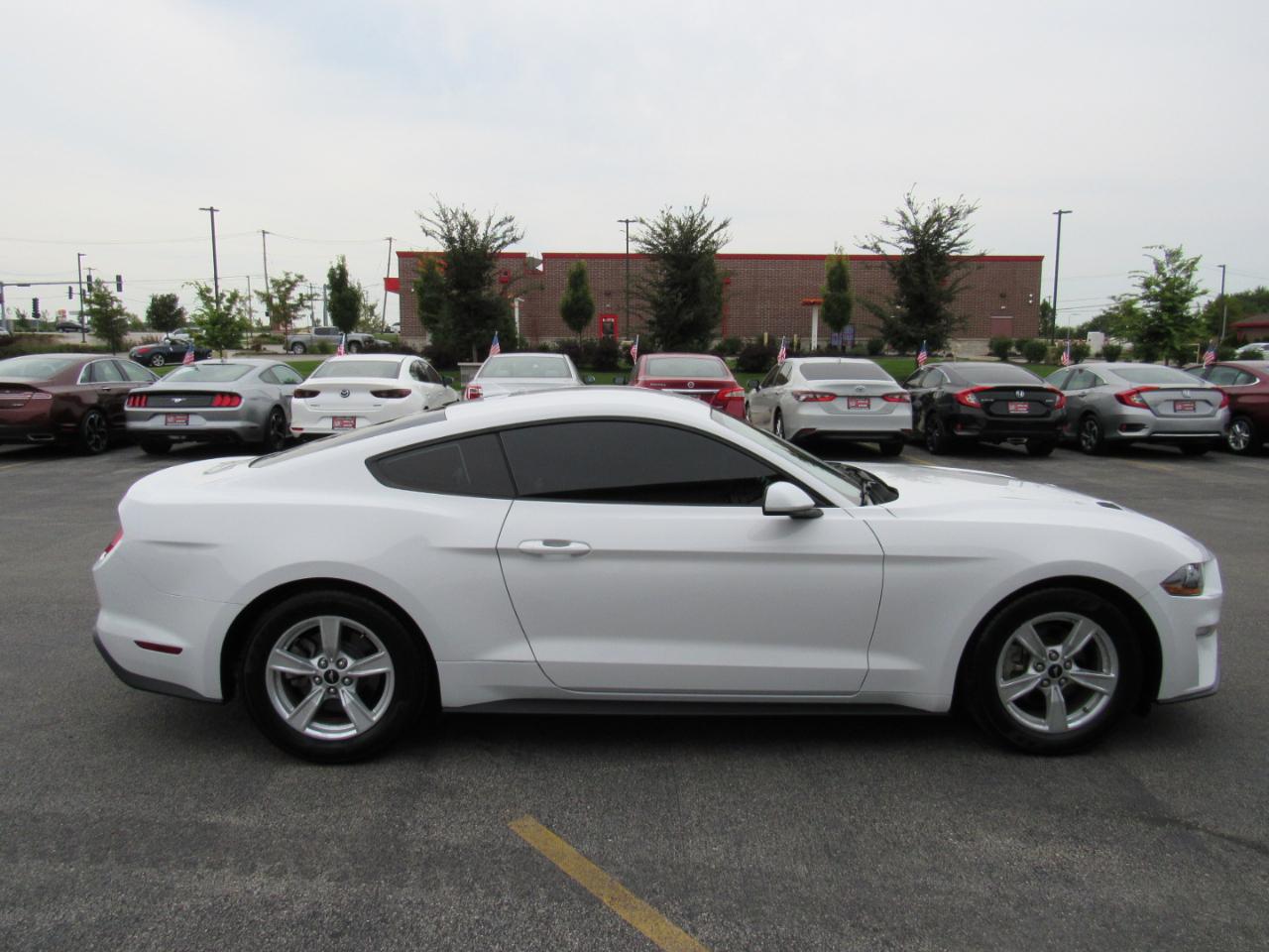 Ford Mustang EcoBoost Fastback 2020