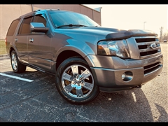 2010 Ford Expedition 