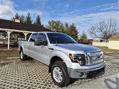 2010 Ford F-150 