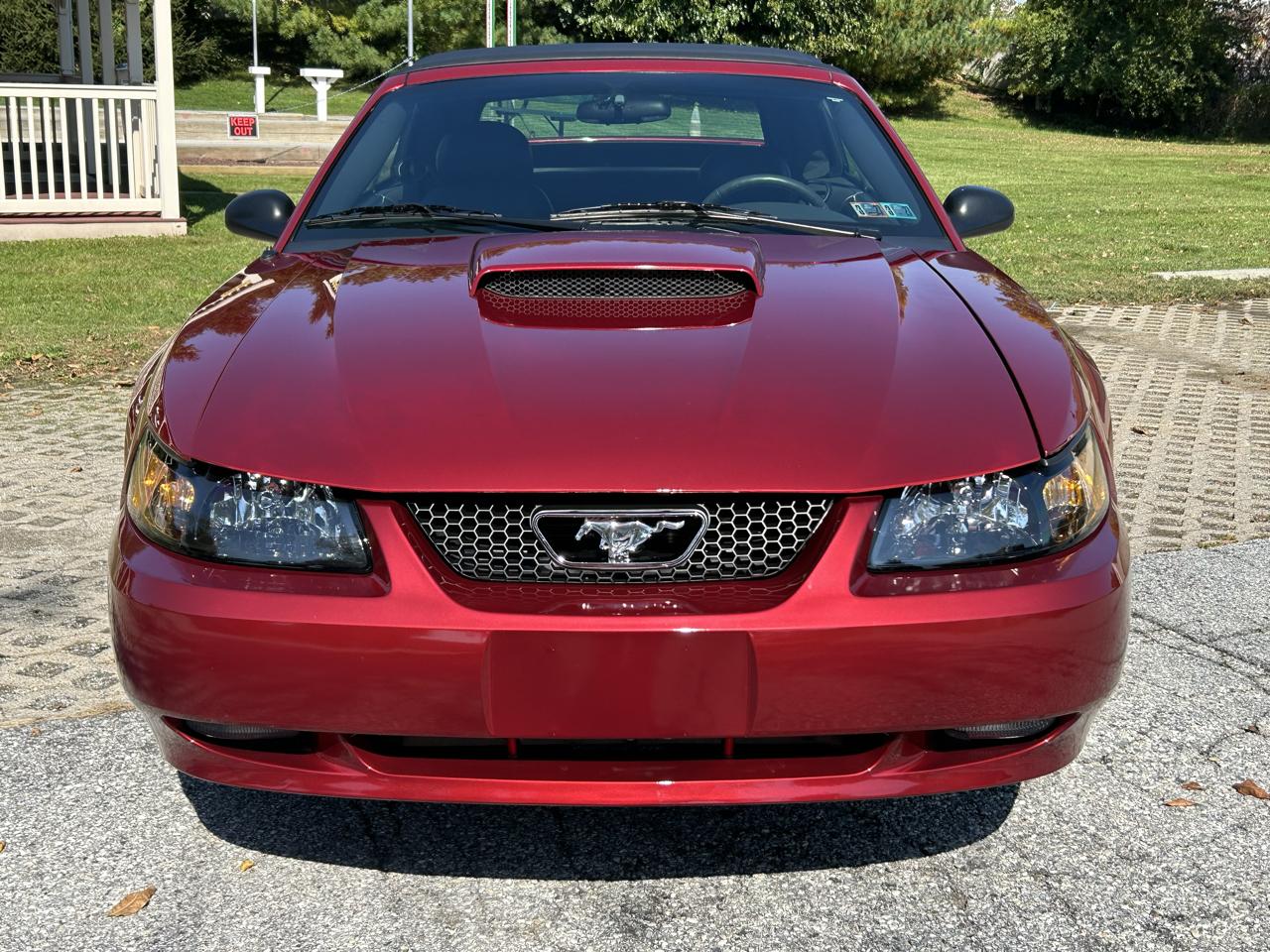 Ford Mustang GT Deluxe Convertible 2004