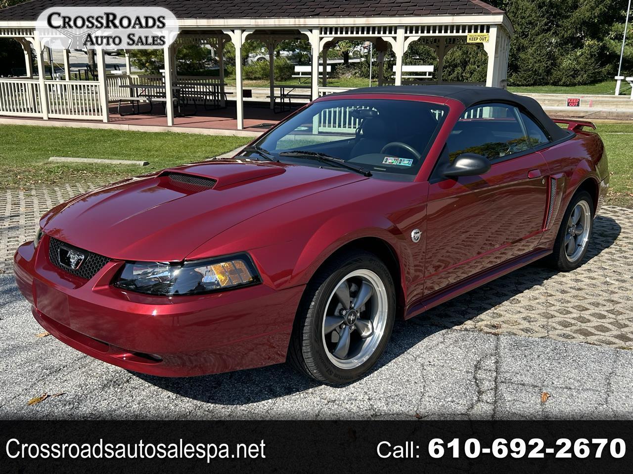 Ford Mustang GT Deluxe Convertible 2004