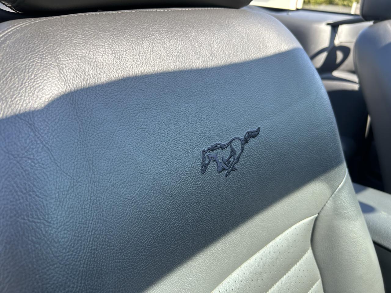 Ford Mustang GT Deluxe Convertible 2004