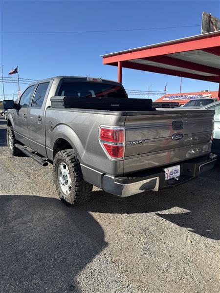 Ford F-150 2WD SuperCrew 145" XLT 2013
