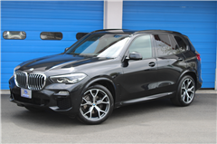 2019 BMW X5 