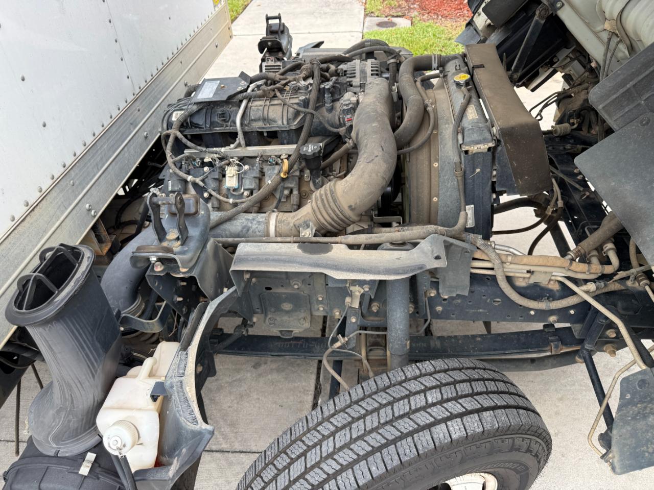 Isuzu NPR  2019