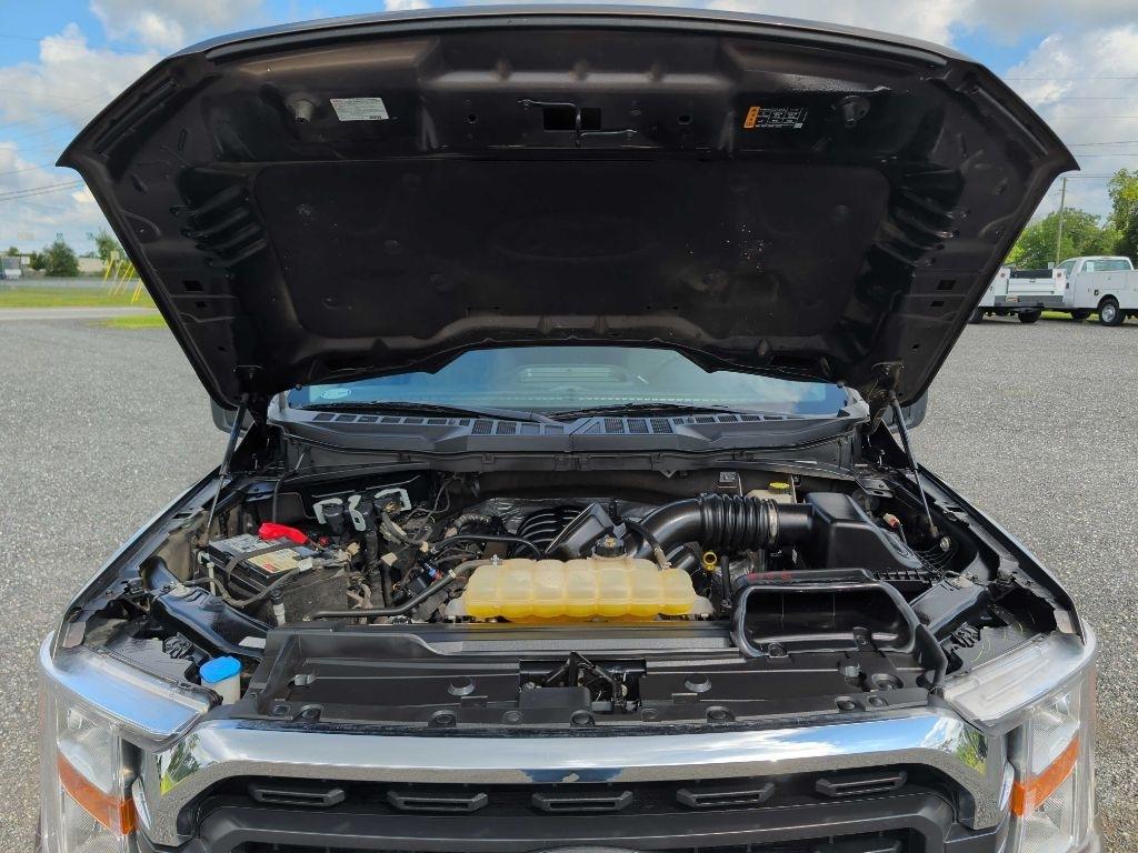 Ford F-150  2021