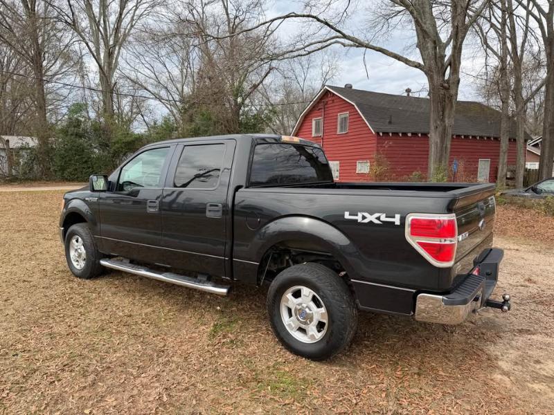 Ford F-150 4WD SuperCrew 145" Platinum 2013