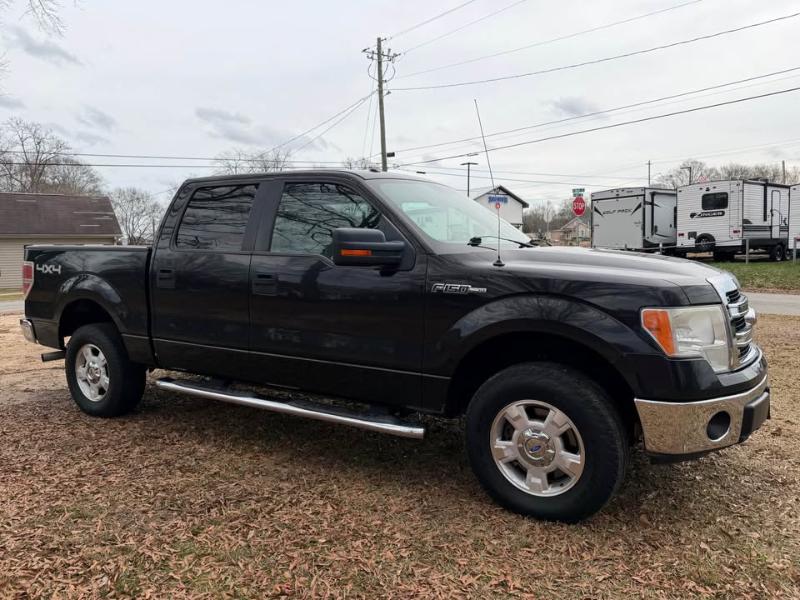 Ford F-150 4WD SuperCrew 145" Platinum 2013