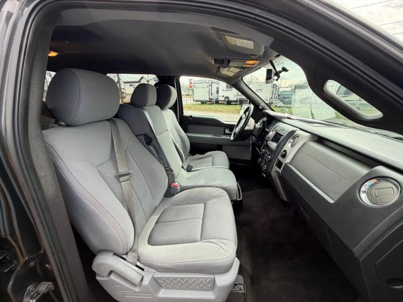 Ford F-150 4WD SuperCrew 145" Platinum 2013