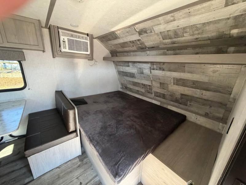 Coleman Lantern  2023