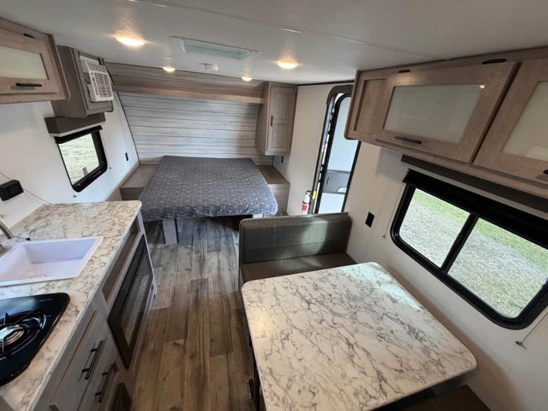 Coleman Lantern  2024