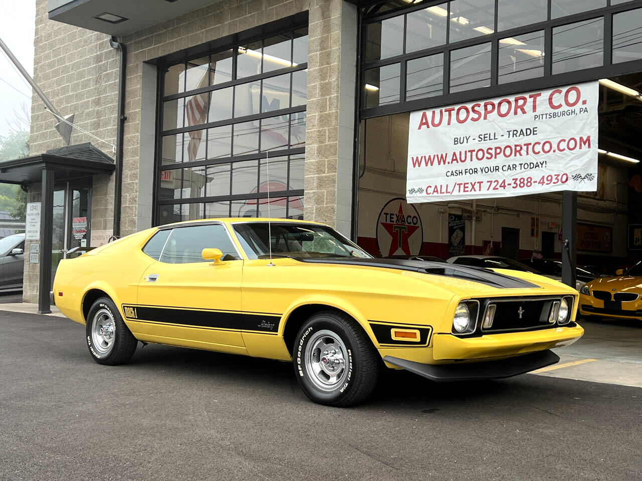 Ford Mustang  1973