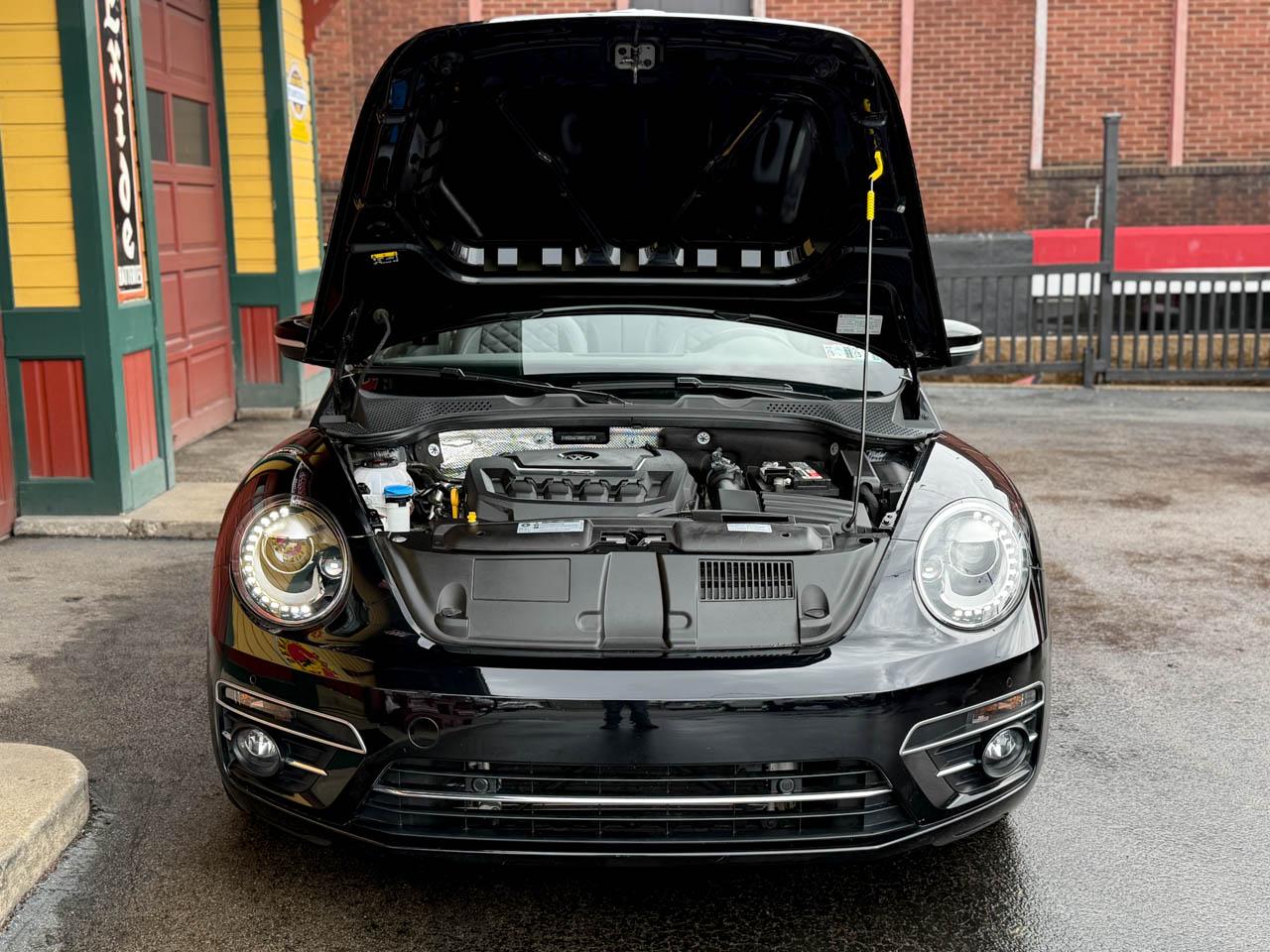 Volkswagen Beetle  2019