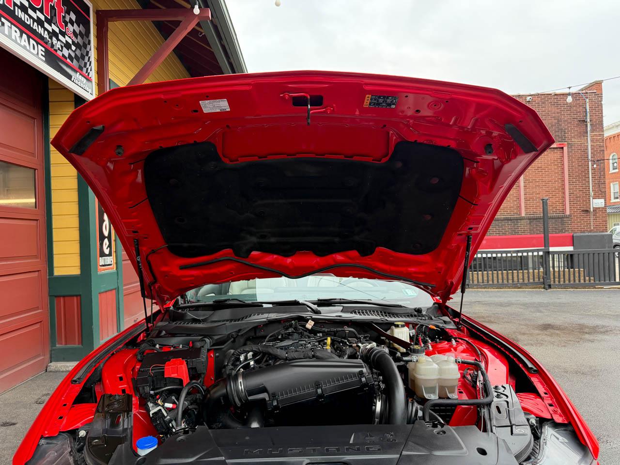 Ford Mustang EcoBoost Premium Convertible 2024