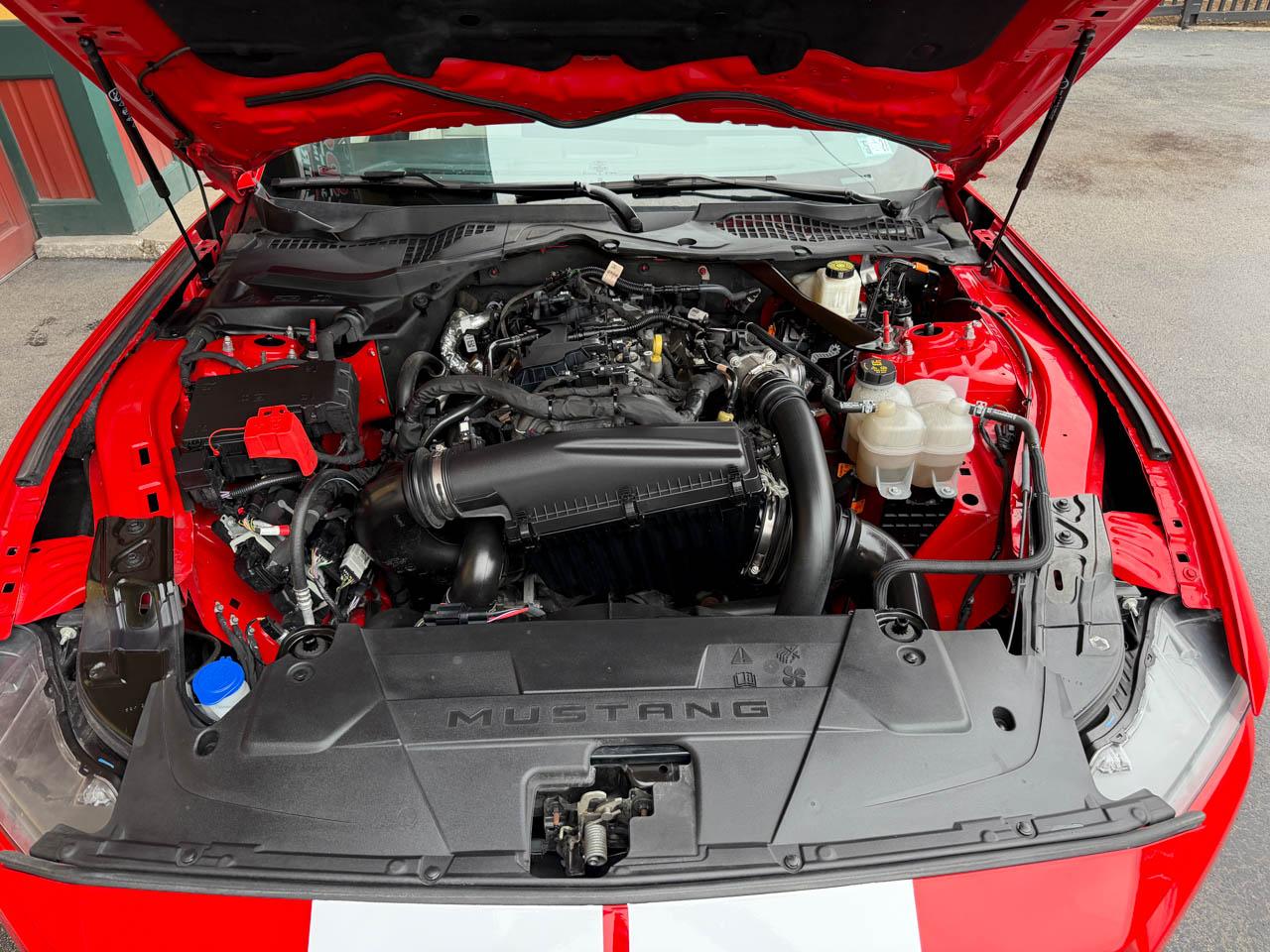 Ford Mustang EcoBoost Premium Convertible 2024