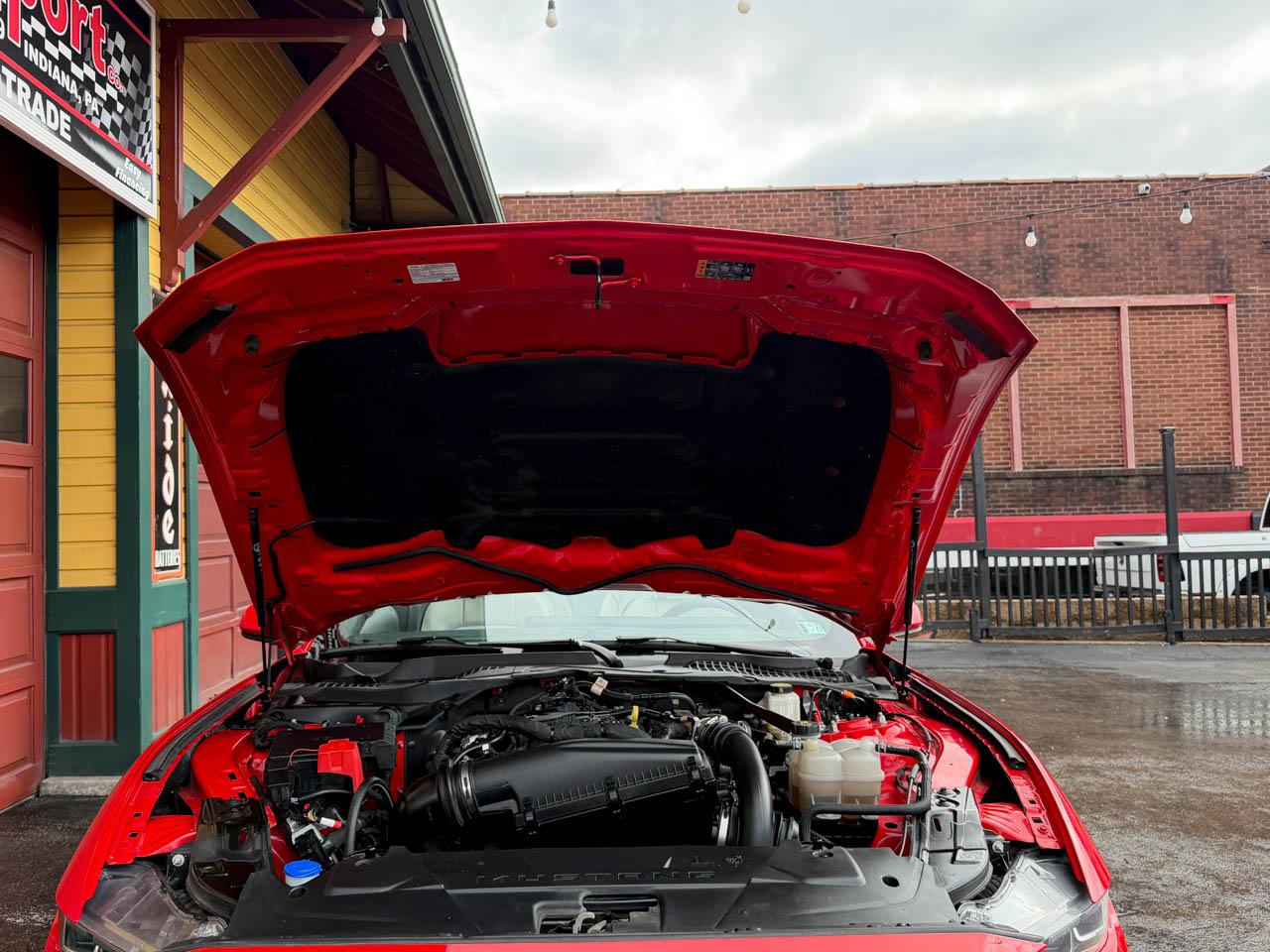 Ford Mustang EcoBoost Premium Convertible 2024