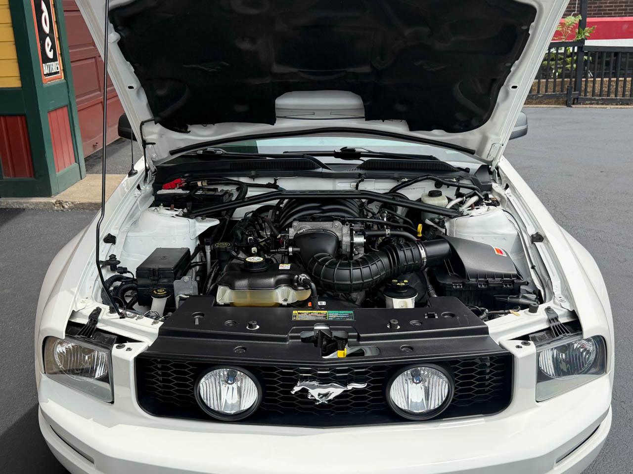 Ford Mustang GT Deluxe Coupe 2005