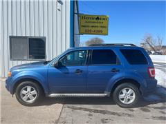 2010 Ford Escape 