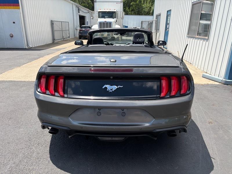 Ford Mustang EcoBoost Premium Convertible 2019