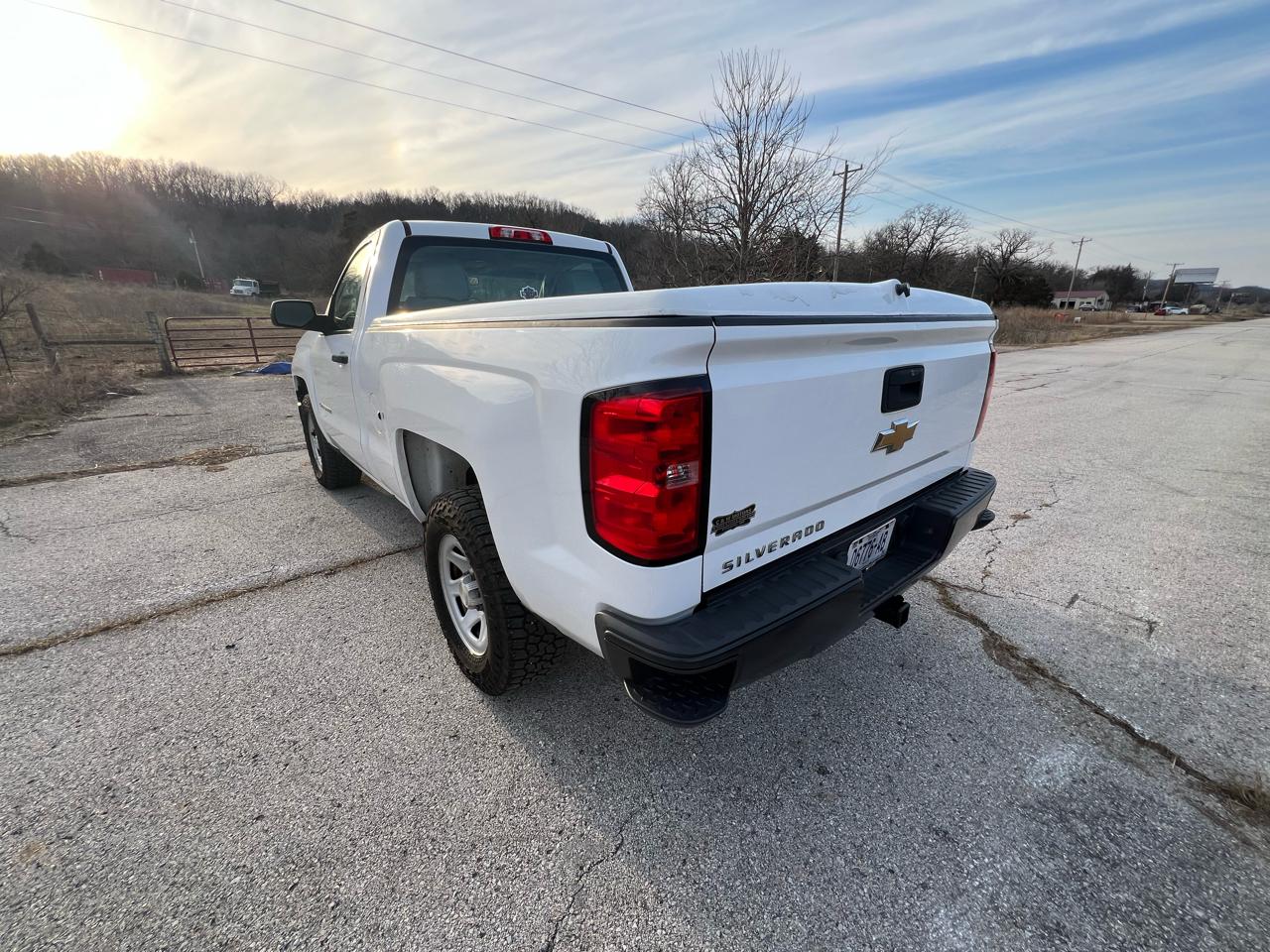 Chevrolet Silverado 1500 2WD Reg Cab 119.0" Work Truck 2014