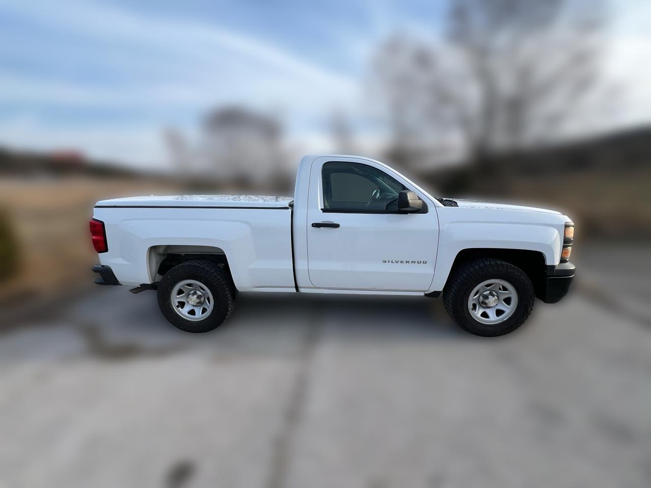 2014 Chevrolet Silverado 1500 2WD Reg Cab 119.0" Work Truck