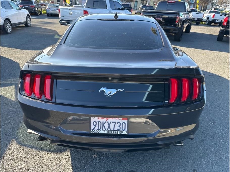 Ford Mustang EcoBoost Coupe 2022