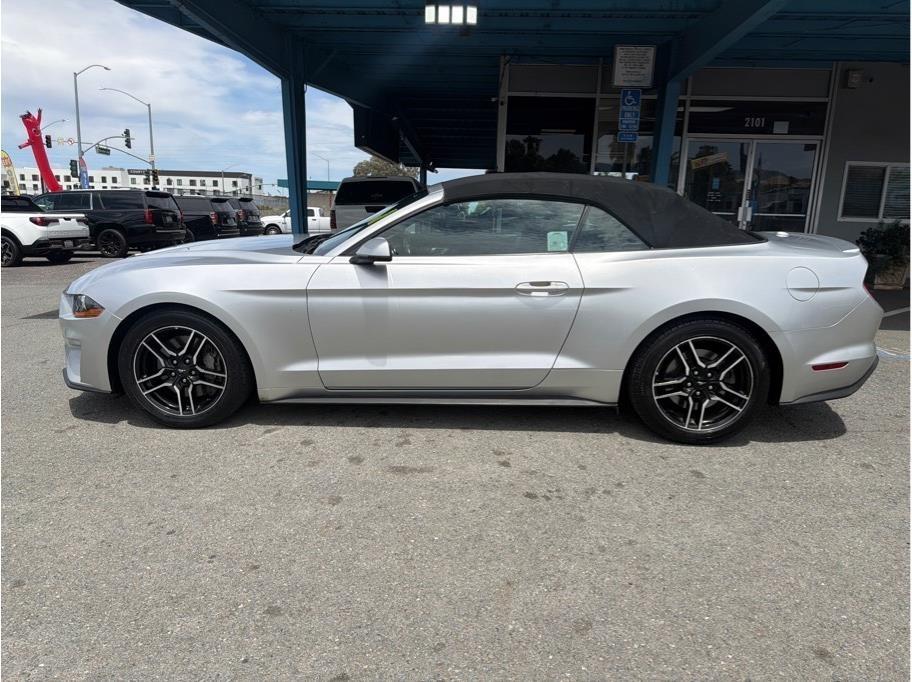 Ford Mustang  2019