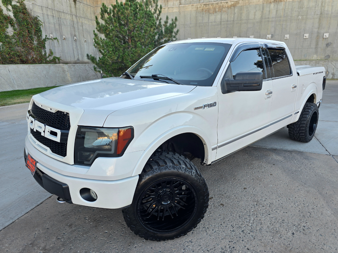 2010 Ford F-150 Platinum photo 2