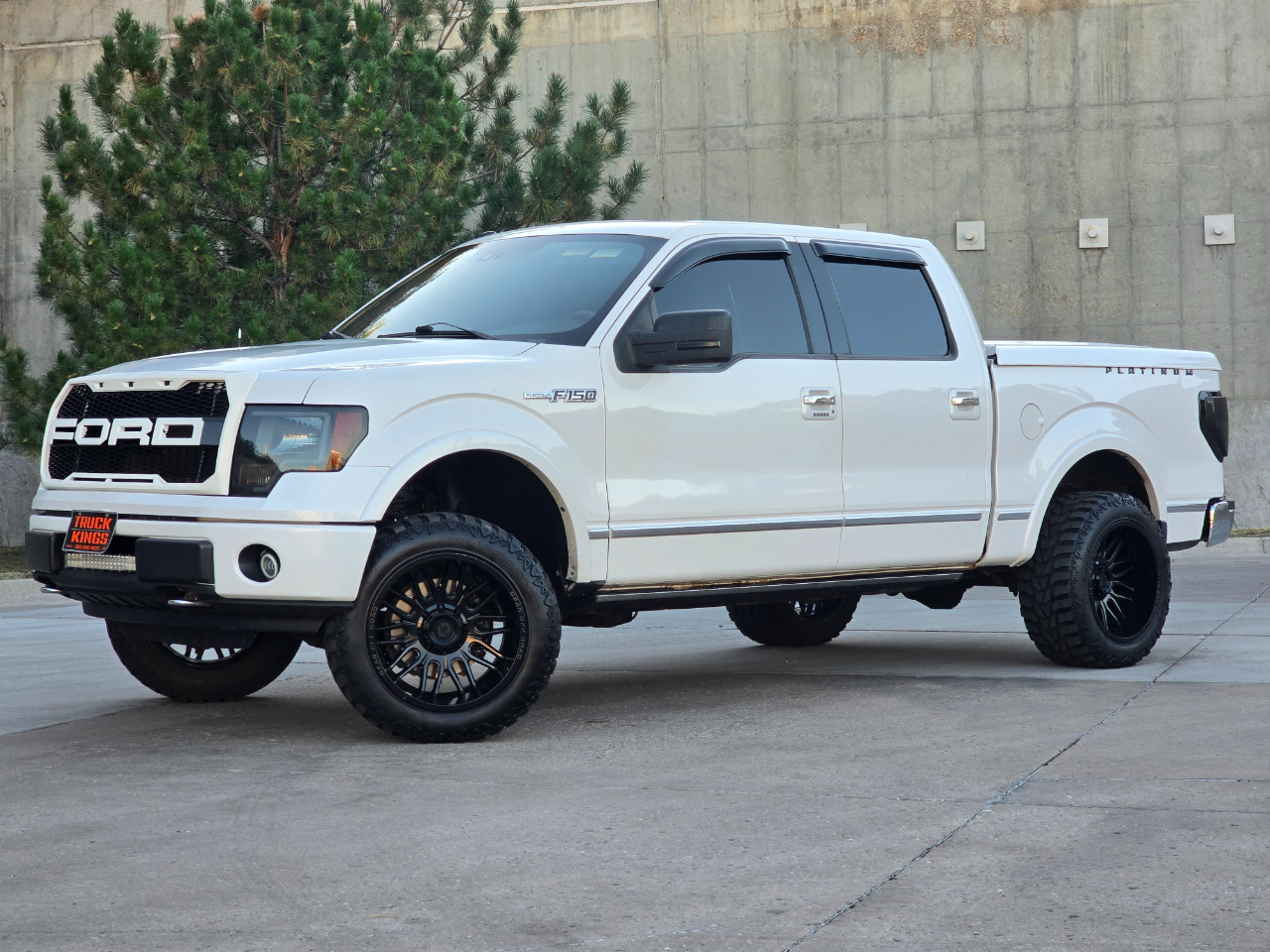 2010 Ford F-150 Platinum photo 3