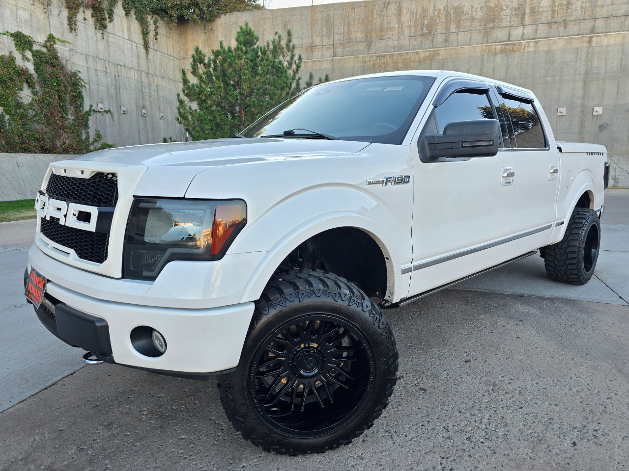 2010 Ford F-150 Platinum photo 4