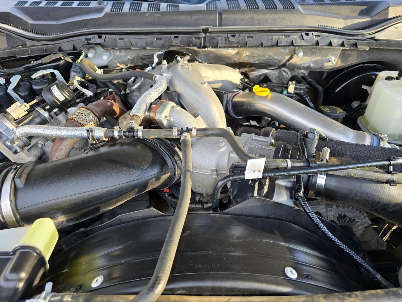 Ford Super Duty F-250 SRW XLT 4WD Crew Cab 6.75' Box 2020