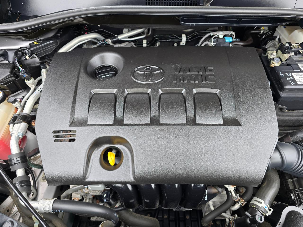 Toyota C-HR XLE FWD (Natl) 2018