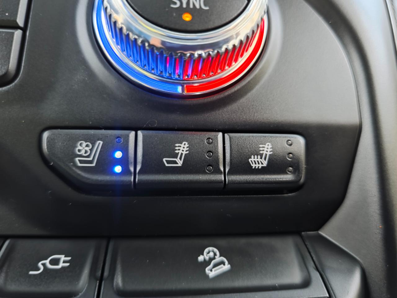 GMC Sierra 1500 4WD Crew Cab 147" AT4 2019