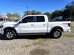 2013 Ford F-150  2013 Ford F-150