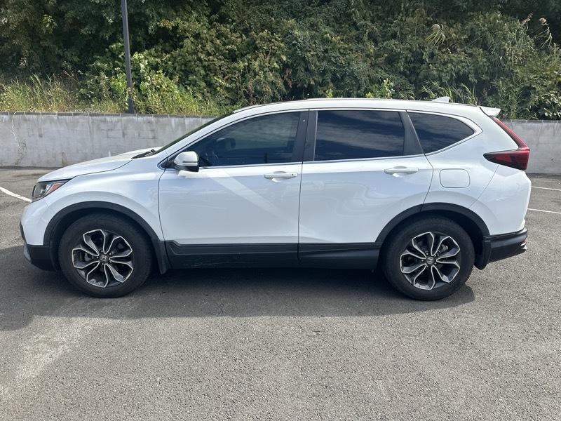 Honda CR-V EX-L 2021