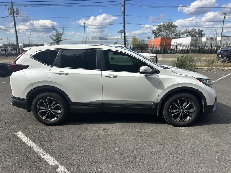 Honda CR-V EX-L 2021