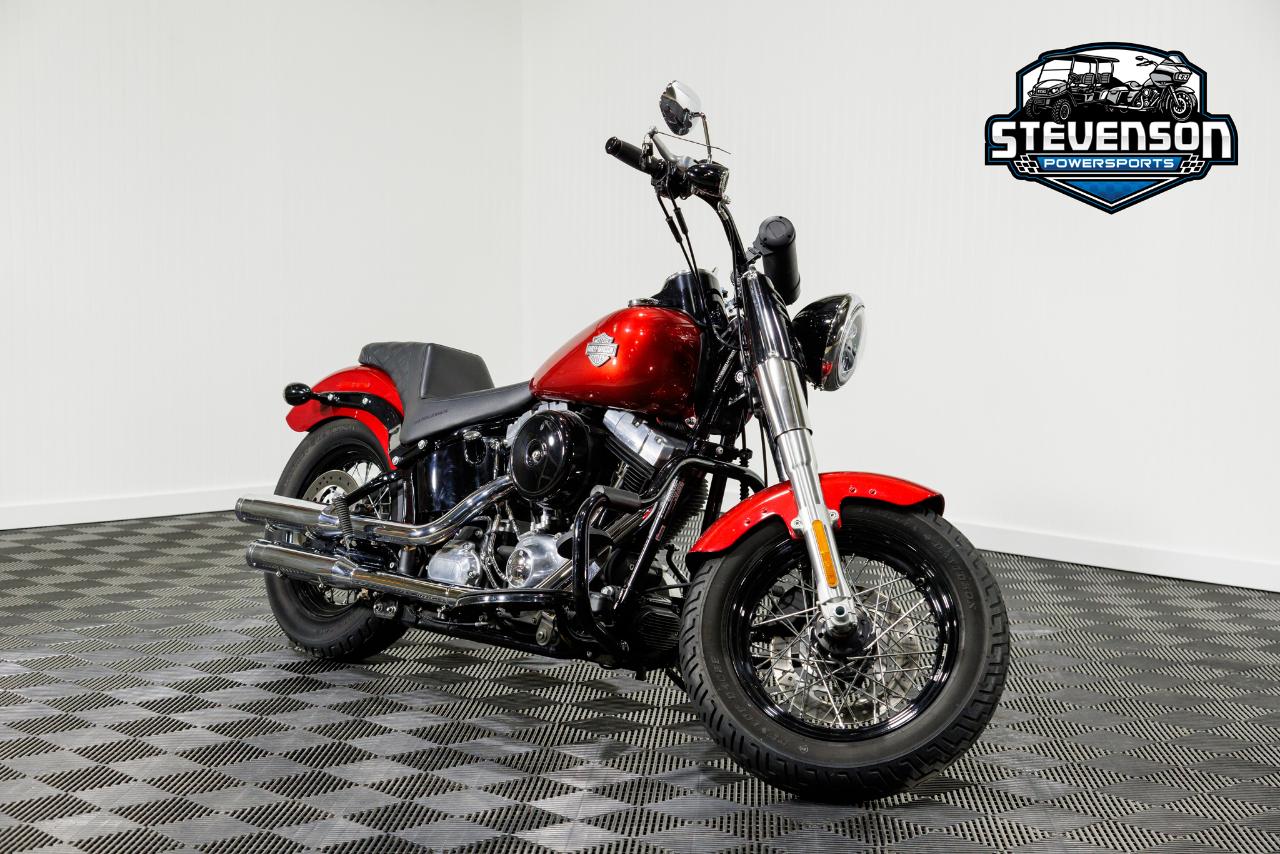 Harley-Davidson FLS103  2013